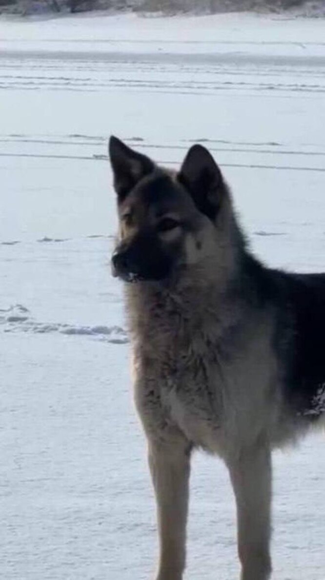 одиночество либо ожесточает. с того момента прошло месяцев. я ходить научился чтоб к тебе приходить стих. 1ч 1мин 1с сколько секунд. с того момента прошло месяцев.