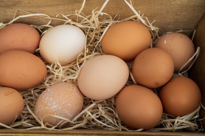 Правда ли, что коричневые яйца полезнее белых