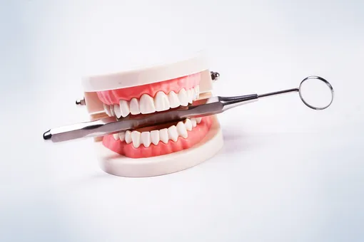 Как правильно составить рацион людям со съемными зубными протезами?