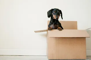 Как быстро упаковать вещи для переезда?