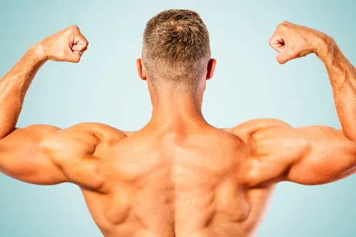 14 лучших упражнений для полной проработки спины