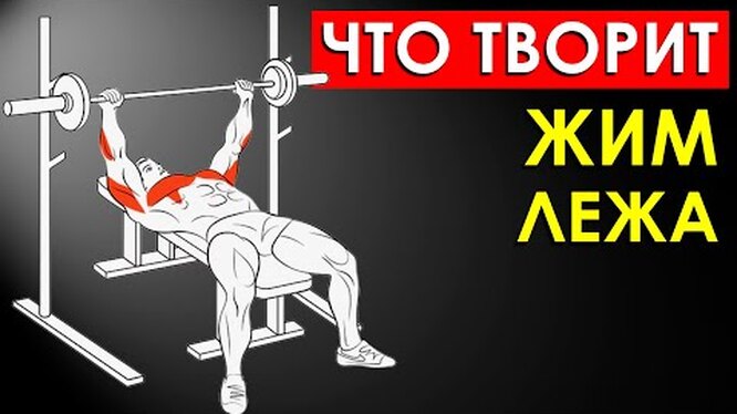 Нажми и смотри