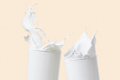 Полезно ли молоко во взрослом возрасте?
