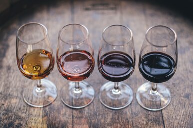 Секреты дегустации: правда ли, что на вкус почти невозможно отличить дорогое вино от дешевого?