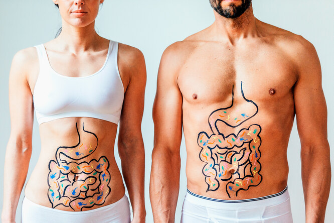 Как работает желудочно-кишечный тракт: еда внутри нас проходит путь длиной в 9 метров