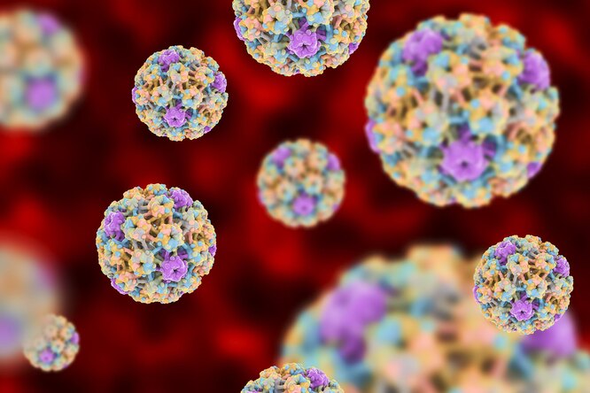 Прививка от ВПЧ: зачем ее делать мужчинам и как это может снизить риск рака