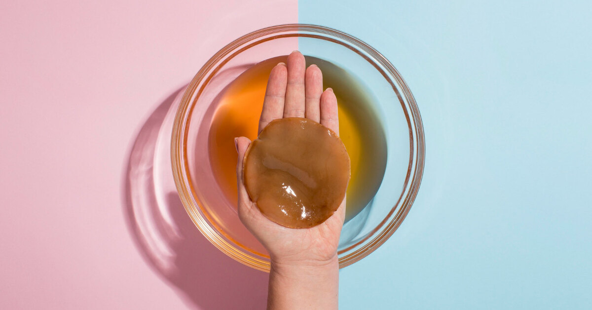 Чем полезен чайный гриб?