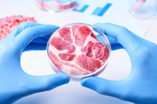Японские ученые впервые вырастили премиальный говяжий стейк в лаборатории — это поможет преодолеть белковый кризис