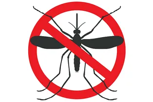 Как бороться с комарами? Народные методы