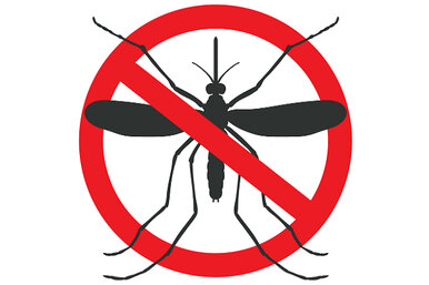 Как бороться с комарами? Народные методы