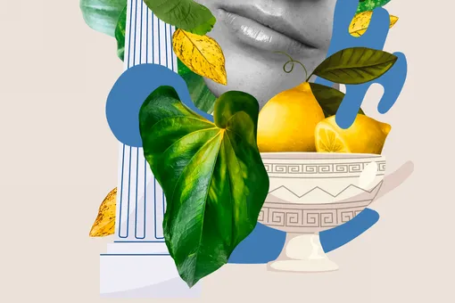 Как самостоятельно вырастить лимон в квартире: подробный гид