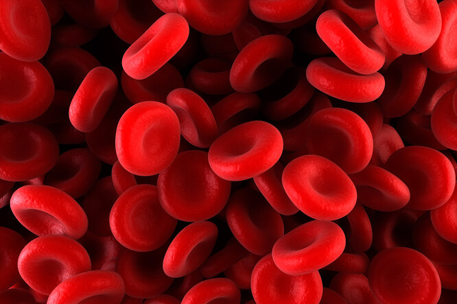 Почему ее нельзя смешивать: 8 самых интересных фактов о крови, которые вы могли не знать