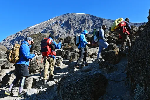 Как покорить Килиманджаро: все о восхождении на величайшую гору Африки