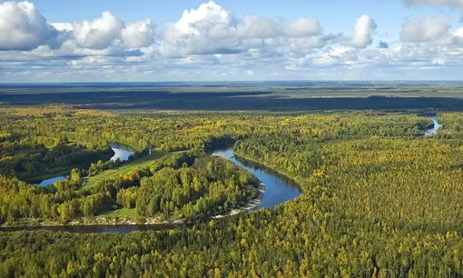 Васюганские болота в Западной Сибири обладают одним из самых крупных запасов пресной воды в мире.