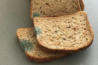 Что будет, если съесть хлеб с плесенью