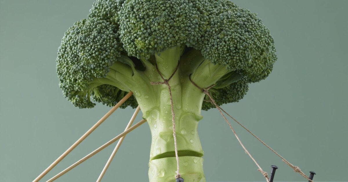 Как правильно перейти на здоровое питание?