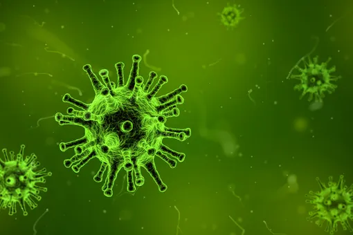 Не только коронавирус: 5 самых опасных вирусов