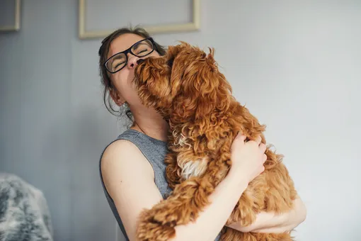 Язык жестов: как ваша собака говорит, что любит вас