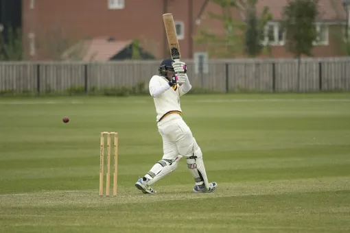 Видео: игрок в крикет сделал самый точный удар