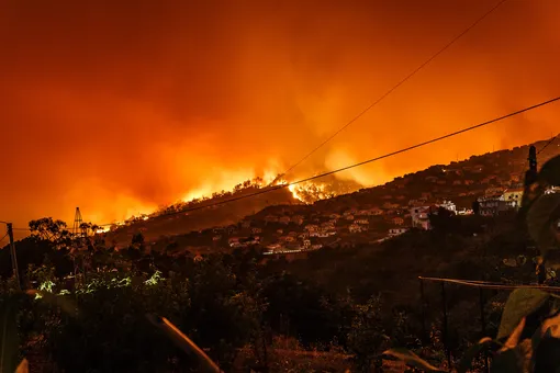 Лесные пожары ворвались в города Турции: власти готовятся к худшему сценарию