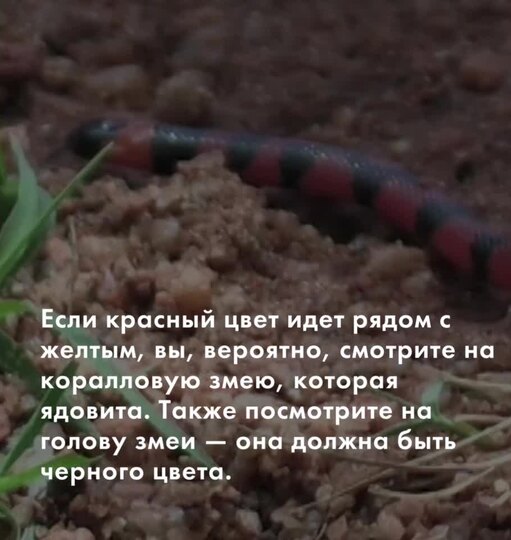 Нажми и смотри
