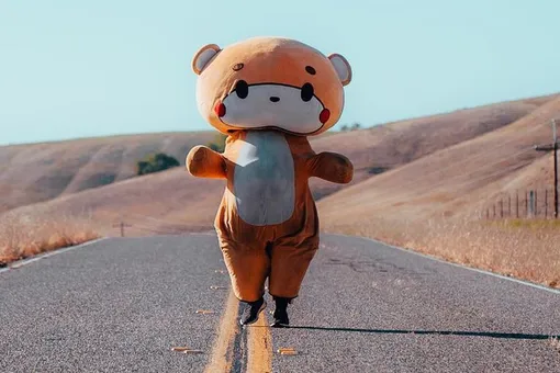 Американец в костюме медведя дошел из Лос-Анджелеса в Калифорнию