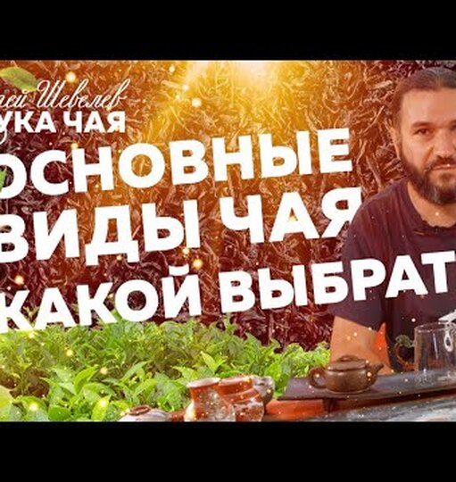 Нажми и смотри