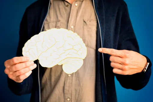 4 простых способа заставить мозг работать, когда вам нужно