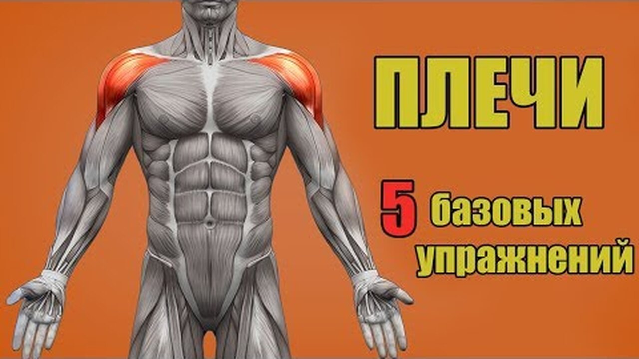 Inositol 500  : .