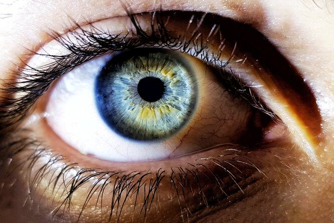 Почему голубой цвет глаз — это оптическая иллюзия