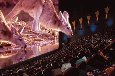 Кинотеатры IMAX: что это и как они устроены
