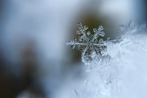 Топ-10 самых интересных фактов о холоде и зиме