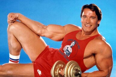 Шварценеггер показал 8 эффективных упражнений для домашней тренировки