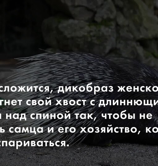 Нажми и смотри