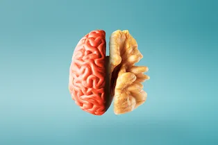 Профилактика Альцгеймера: что должно быть в меню для укрепления ума