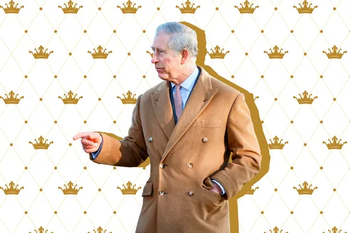 Принц Чарльз: отношение к России и еще 9 самых важных и интересных фактов, которые нужно знать