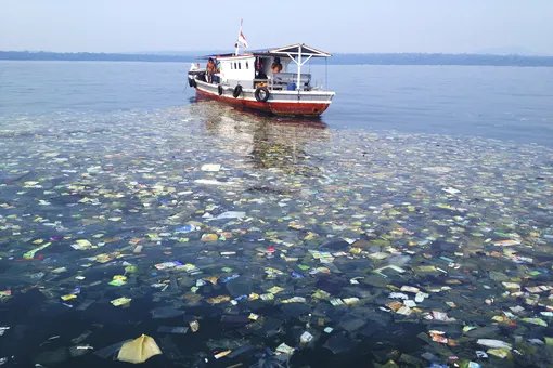 Где на самом деле находится большое тихоокеанское мусорное пятно