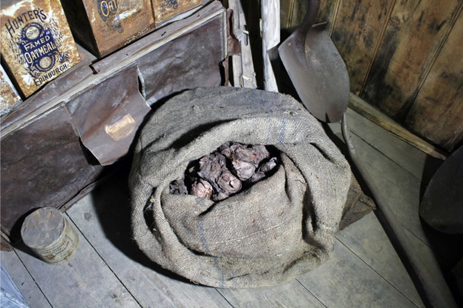 Что стало с луком, пролежавшим 100 лет в Антарктиде? Что стало с луком, пролежавшим 100 лет в Антарктиде?