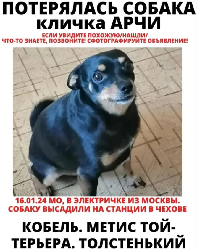 Кафе арчи саратов на шехурдина