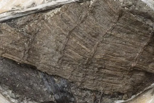 Кто выбросил в швейцарское озеро ботинок 5000 лет назад?