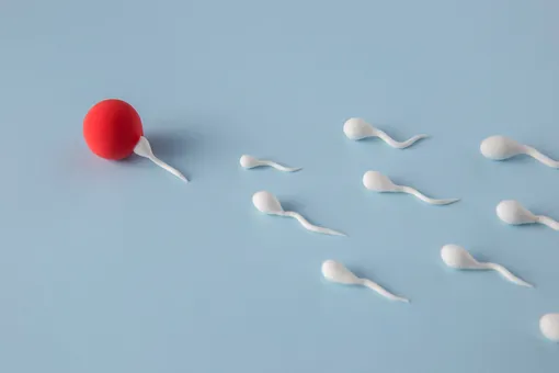Способны ли высушенные сперматозоиды к оплодотворению: ответ ученых
