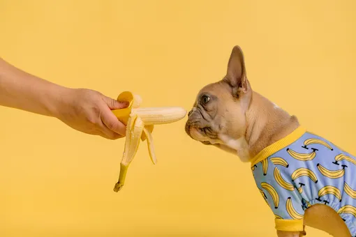 Что будет с организмом, если каждый день есть бананы