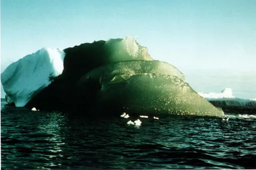 Откуда в Антарктиде взялся зеленый лед?