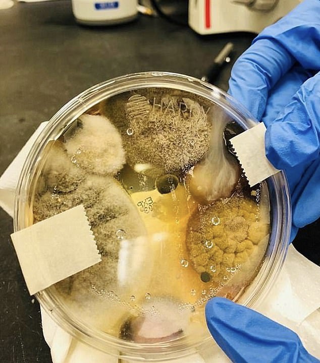 Почему нельзя сушить руки в автоматической сушилке?