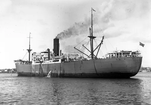 SS Port Nicholson в 1931 г.