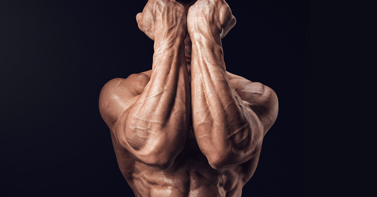 Forearm Workout
