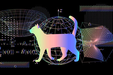 Как так получилось, что квантовая механика отрицает саму себя