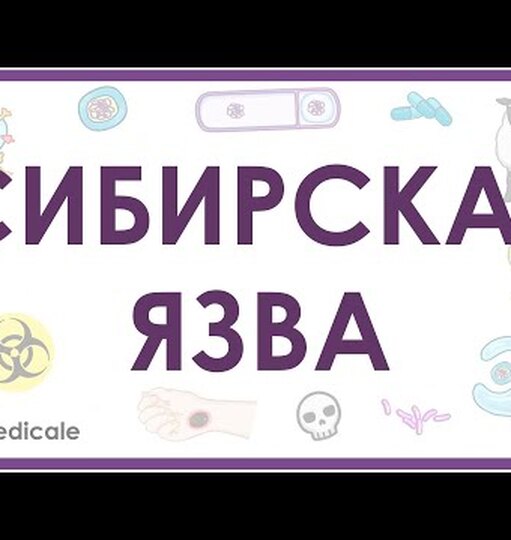 Нажми и смотри