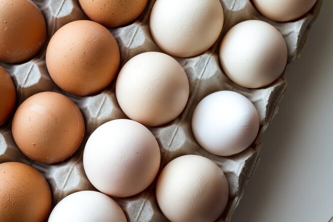 Почему в разных странах яйца хранят по-разному?