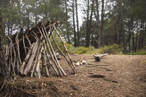 Ушли в лес: семья из четырех человек почти год жила в шалаше